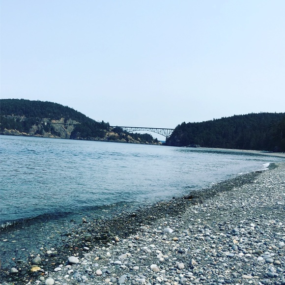 Meet your Posher, Shaney - Picture 2 of 2